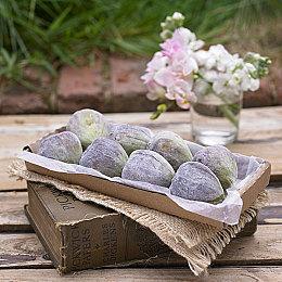 《英雄不再3》BOSS介绍视频 萌妹手掌有怪物